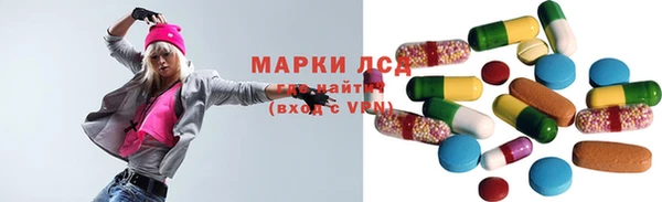 прущие грибы Белоозёрский