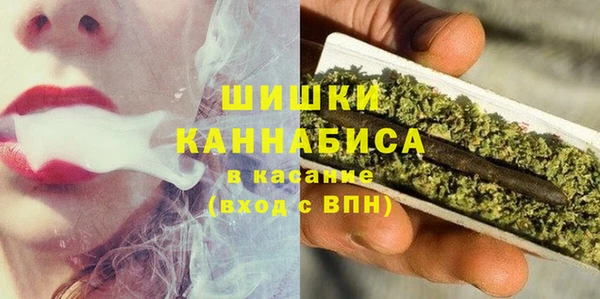 прущие грибы Белоозёрский