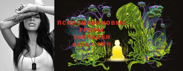 прущие грибы Белоозёрский