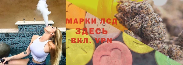 прущие грибы Белоозёрский